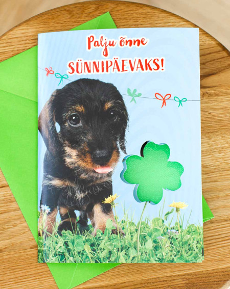 Music Birthday Card Puppy - Greeting cards - Agapics