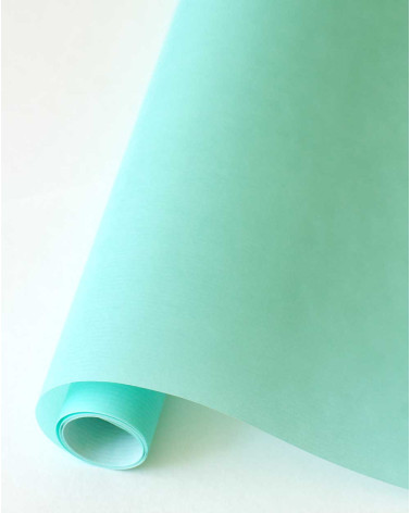 Book Cover Paper Mint