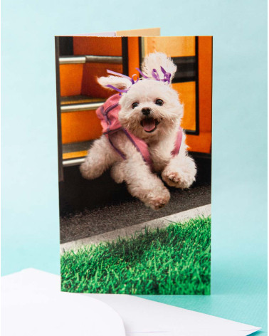 Avanti Pocket Card Happy Puppy - Funny cards - Agapics