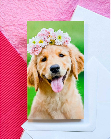 Avanti Pocket Card Happy Dog