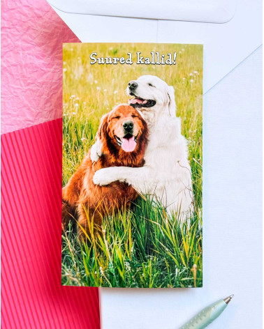Avanti Pocket Card Happy Dogs