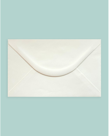 Envelope 5pc 120 x 235 mm