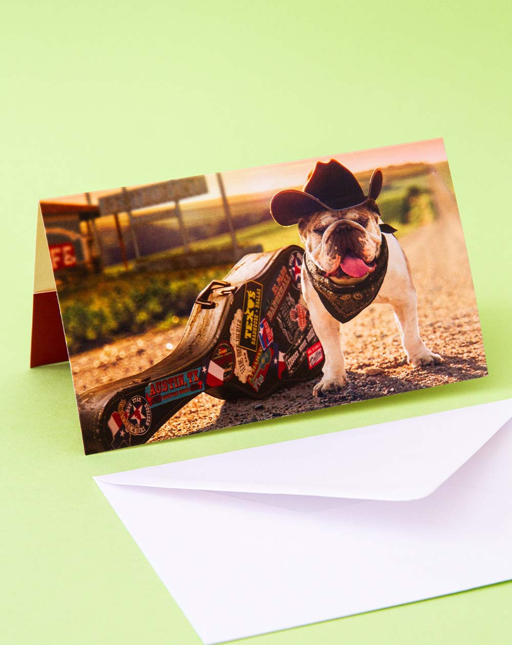 Avanti Pocket Card Bulldog