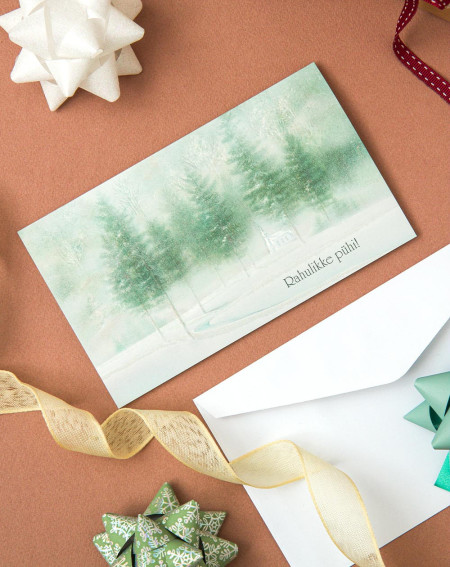 Hallmark Christmas Card Winter Nature