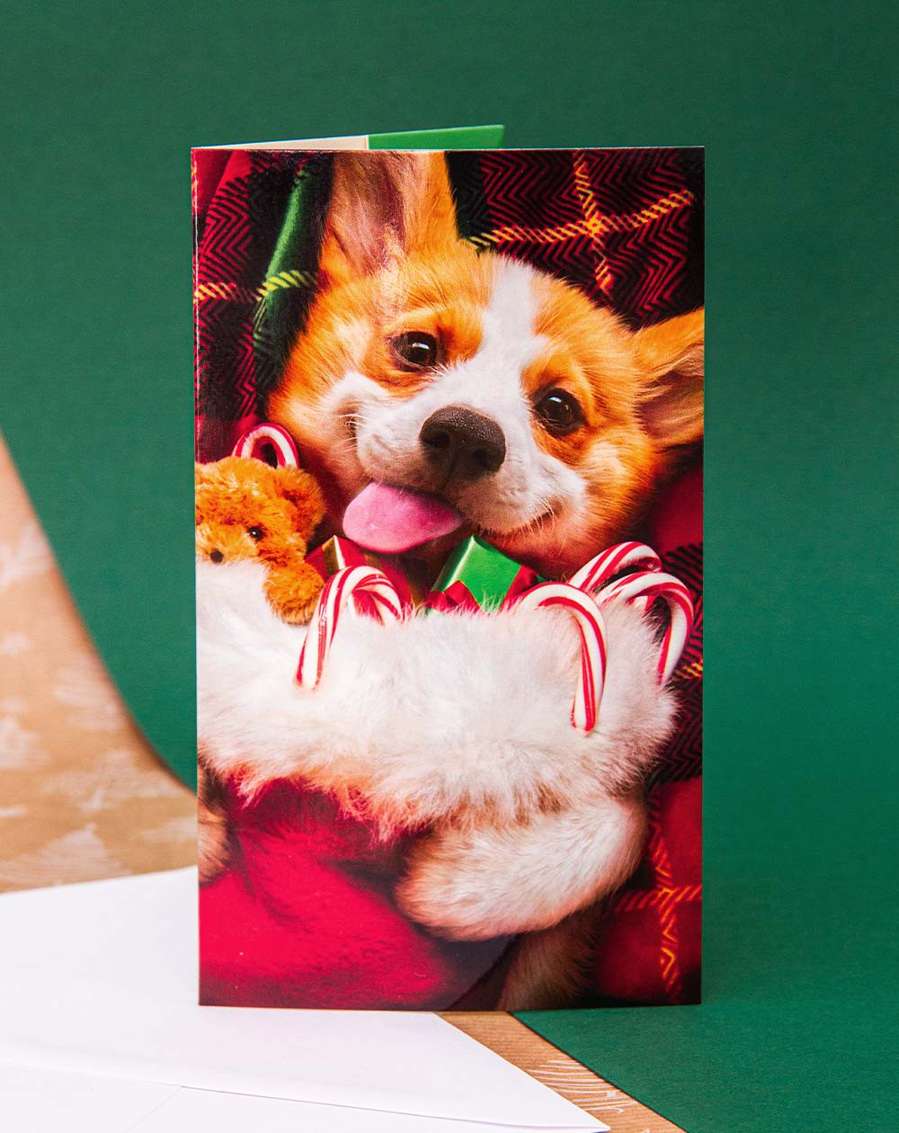 Avanti Christmas Pocket Card Happy Dog