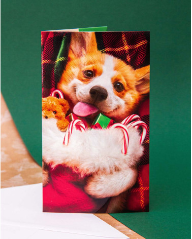 Avanti Christmas Pocket Card Happy Dog