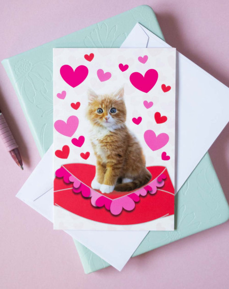 Hallmark Card Kitten and hearts