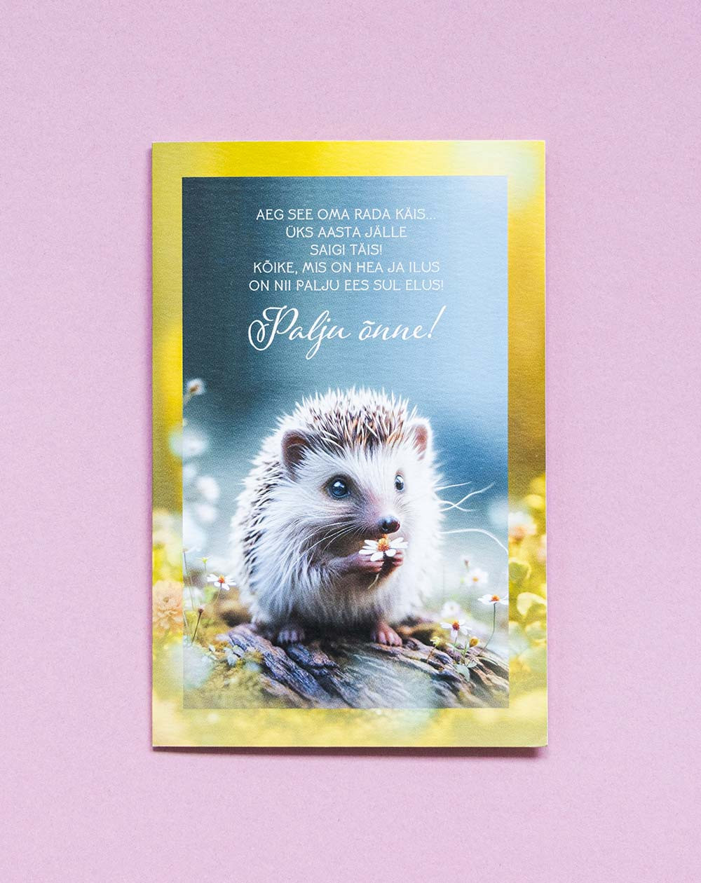 Card Hedgehog