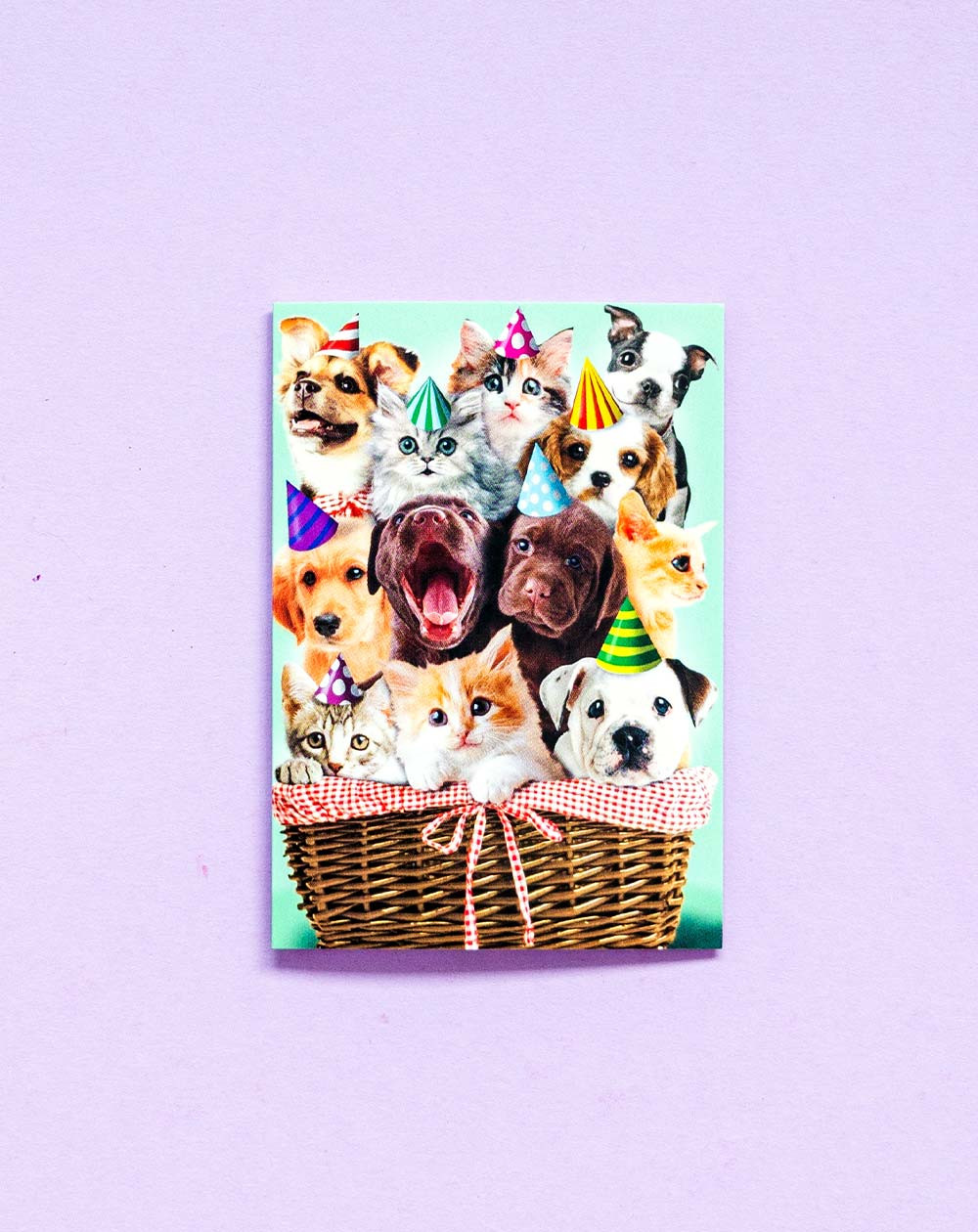 Hallmark Small Gift Bag Card Animal party