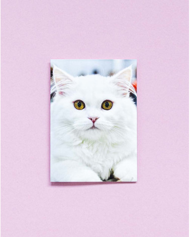 Small Gift Bag Card White Cat