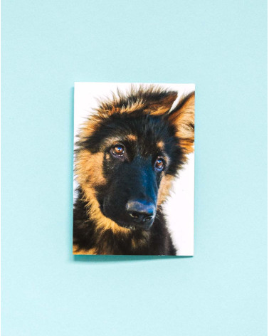 Small Gift Bag Card Dog