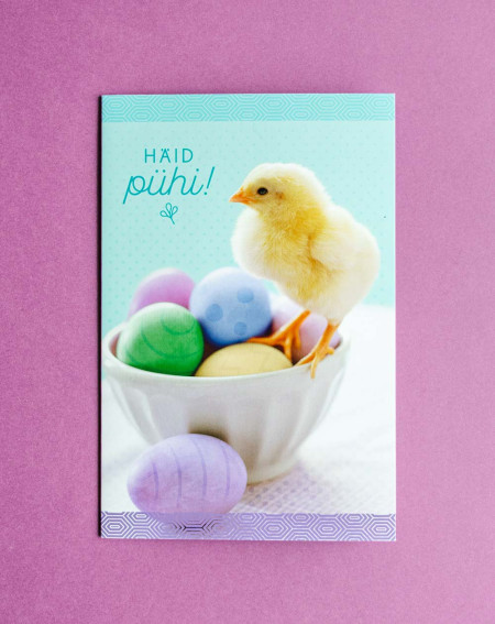 Hallmark Card Chick and eggs