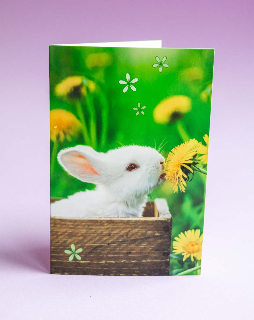 Card Bunny and dandelion