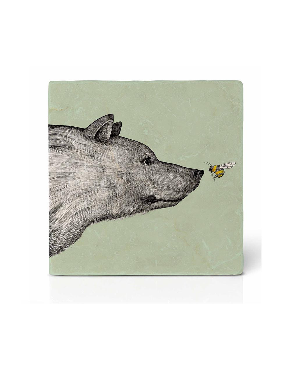 Tassialus Kohtumine - Köögitarvikud - Agapics