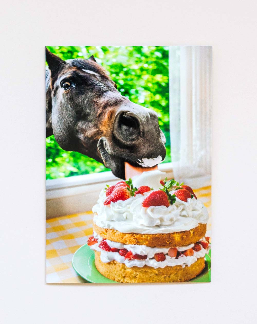 Avanti Card Horse is eating cake
