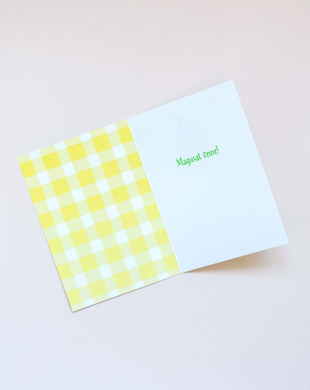 Avanti Kaart Hobune maiustamas