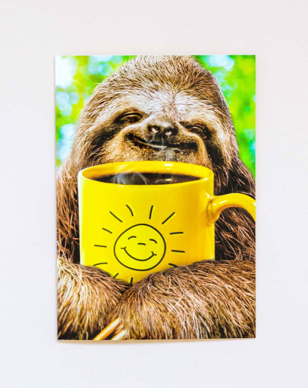 Avanti Card Sloth with coffee support - Agapics