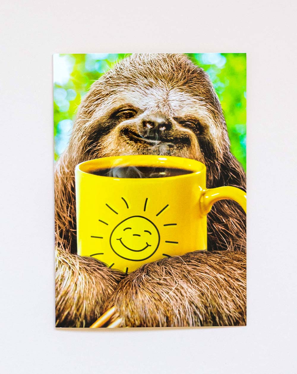 Avanti Card Sloth with coffee support - Agapics
