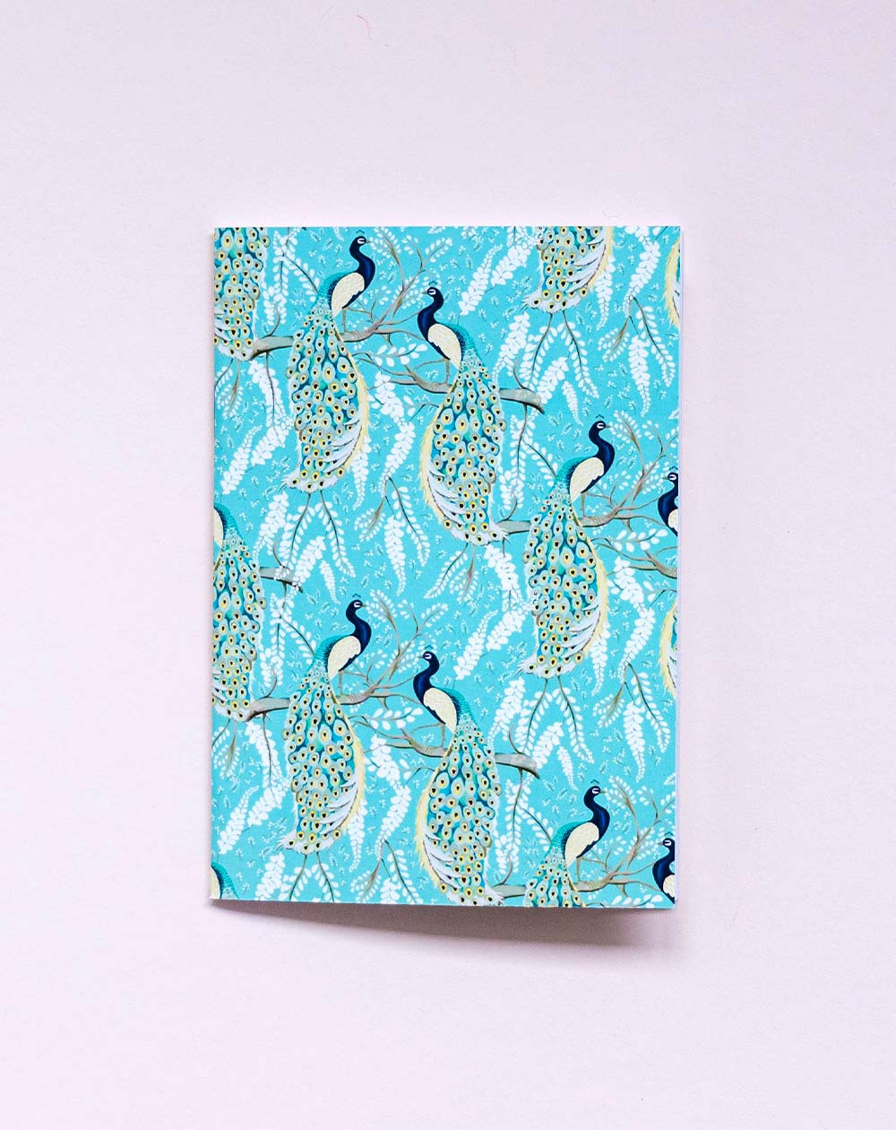 Kaustik A6 Paabulinnud