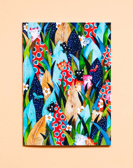 Kaustik A5 Kassid - Agapics