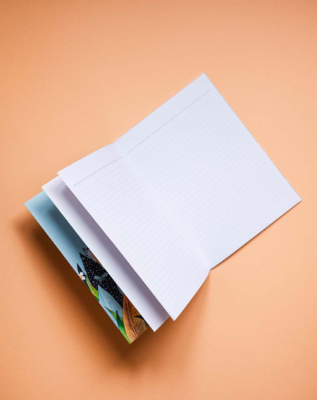 Kaustik A5 Kassid - Agapics