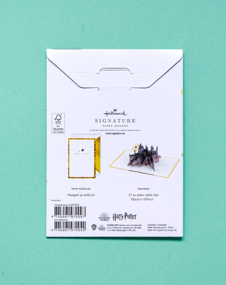 Hallmark Pop-up Card Harry Potter - Birthday cards - Agapics