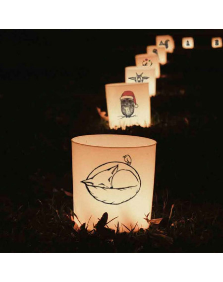 Candle lantern Magical Raccoon - Gifts - Agapics