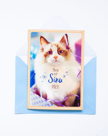 Hallmark Music Greeting Card Cat - Music cards - Agapics
