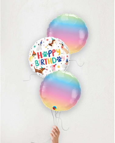 Õhupallibukett Sünnipäeva koerad ombre