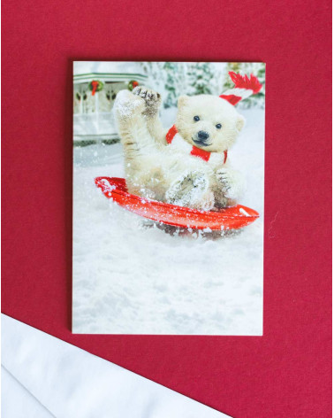 Avanti Christmas Card Polar Bear sledding