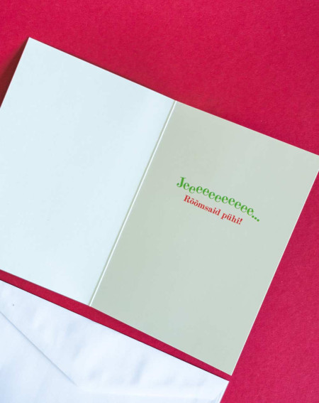 Avanti Christmas Card Polar Bear sledding