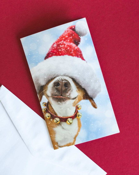 Avanti Christmast Pocket Card Dog with Hat