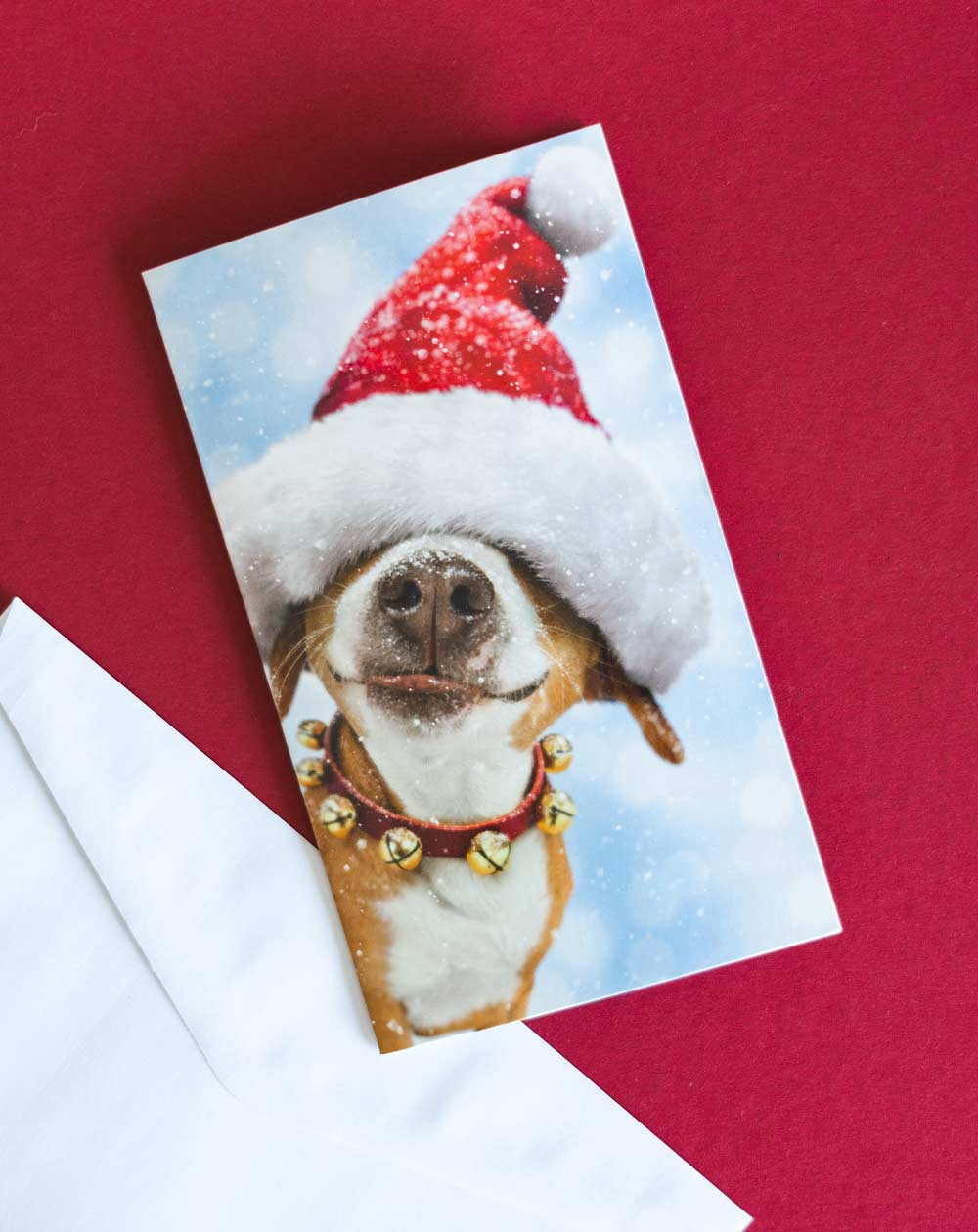 Avanti Christmast Pocket Card Dog with Hat