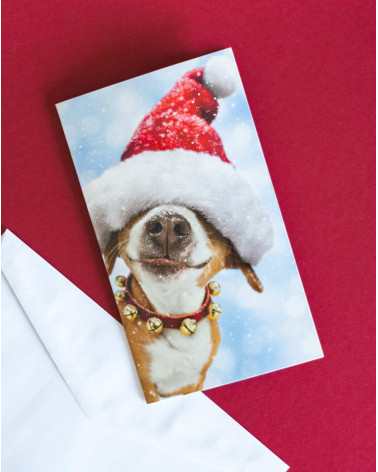 Avanti Christmast Pocket Card Dog with Hat
