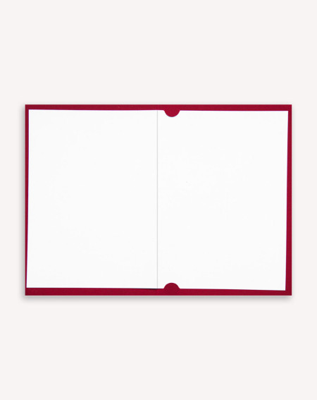 Christmas Card Branch - Agapics