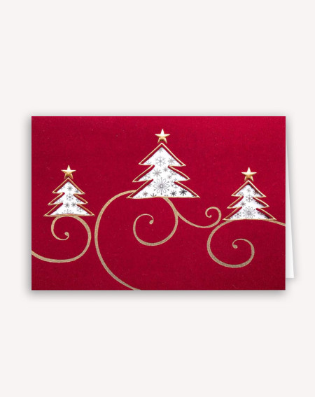Christmas Card Spruces - Agapics