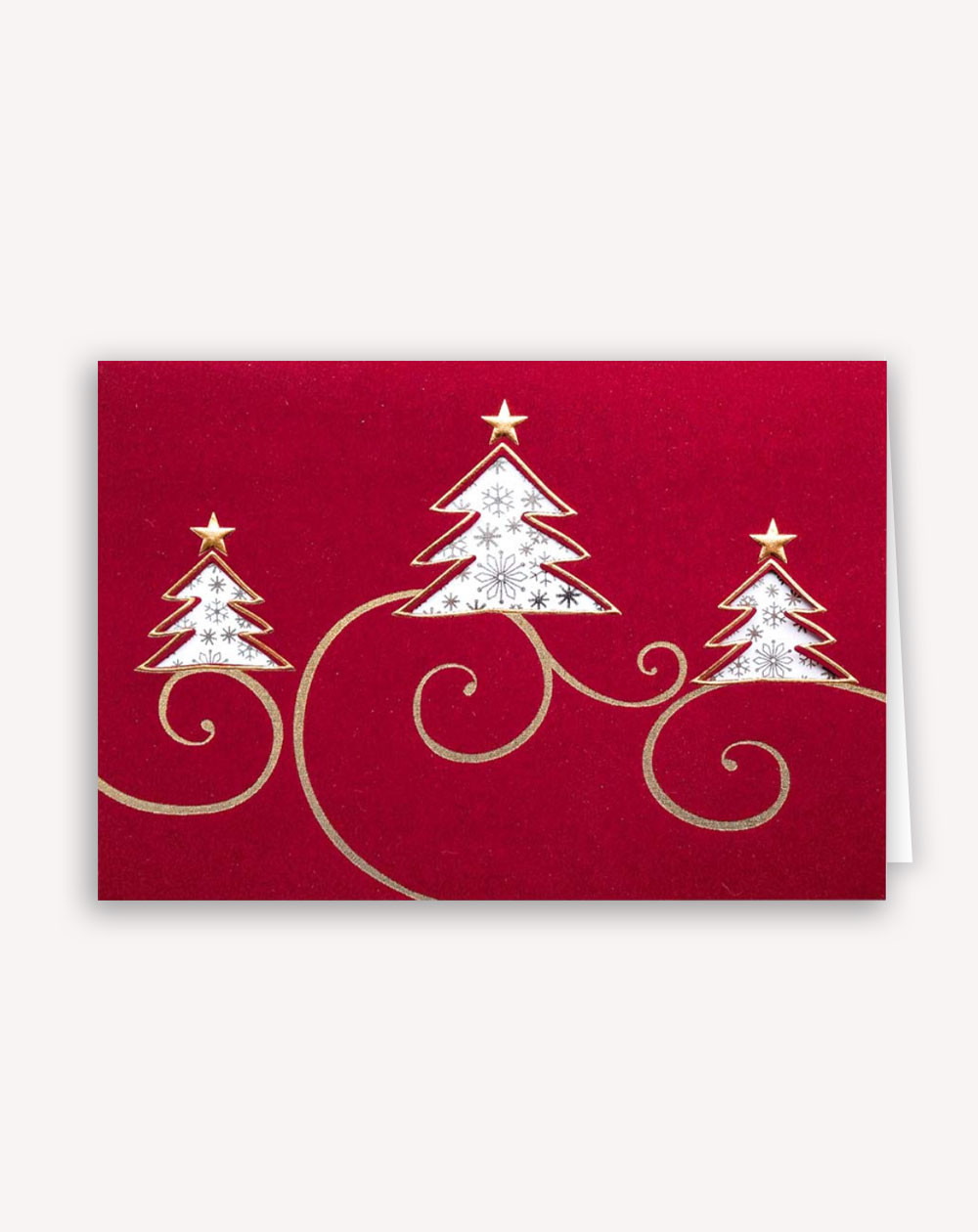 Christmas Card Spruces - Agapics