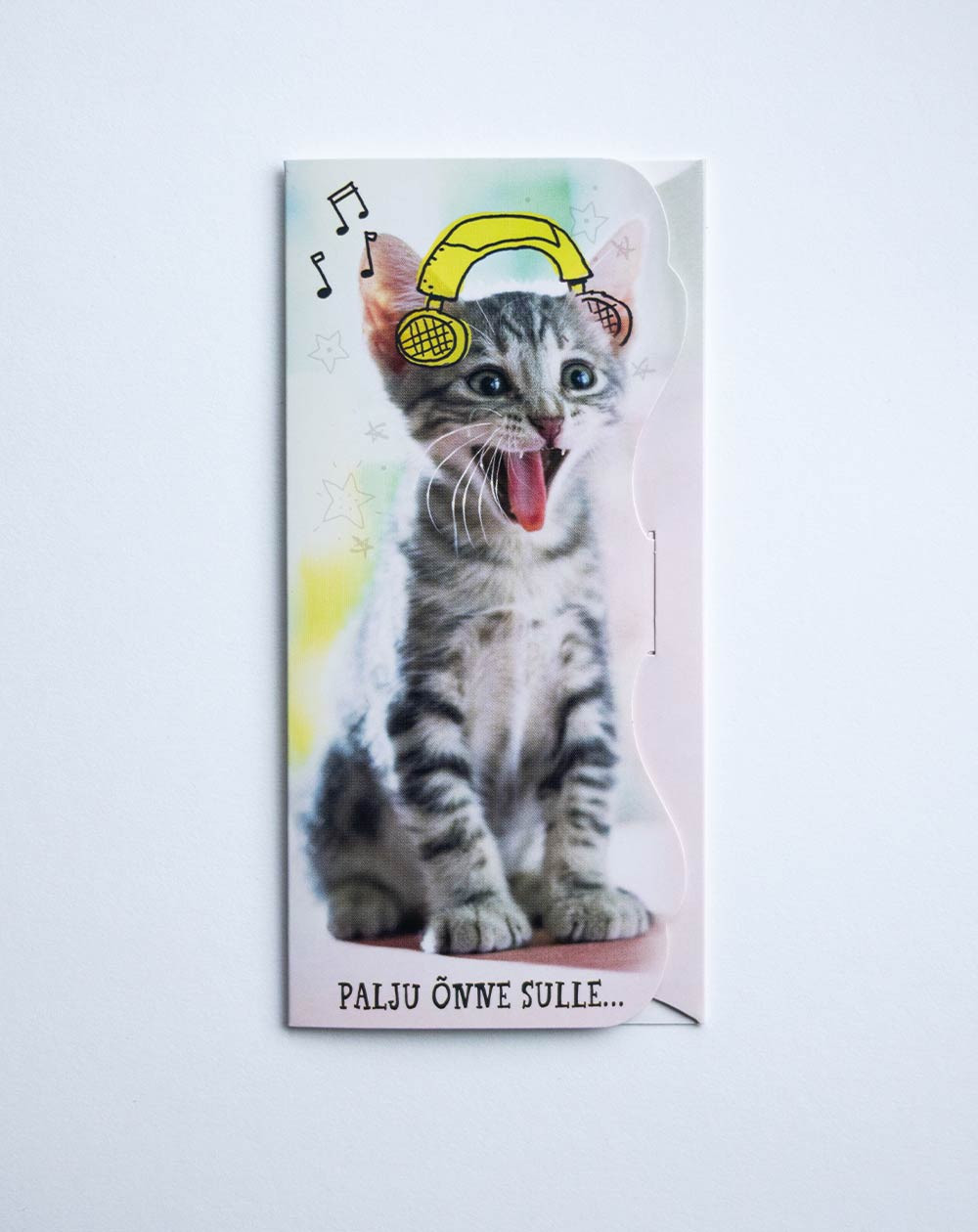 Hallmark Pocket Card Kitten