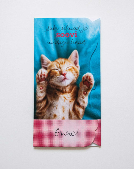 Hallmark Taskuga Kaart Kiisupoeg