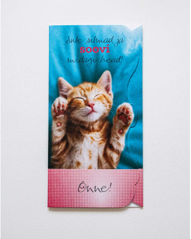 Hallmark Pocket Card Kitten