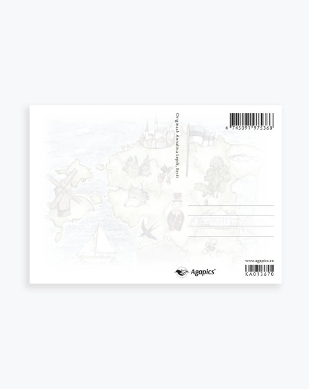 Tourist Postcard Estonia