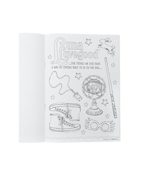 Crayola Harry Potter magical activity case