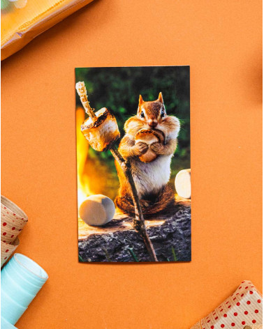 Avanti Pocket Card Squirrel
