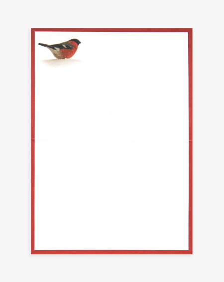 Christmas Card Birds with snow - Agapics