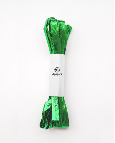 Ribbon Shiny Green 3m - Agapics