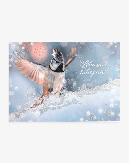 Christmas Card Bird and Snow - Agapics