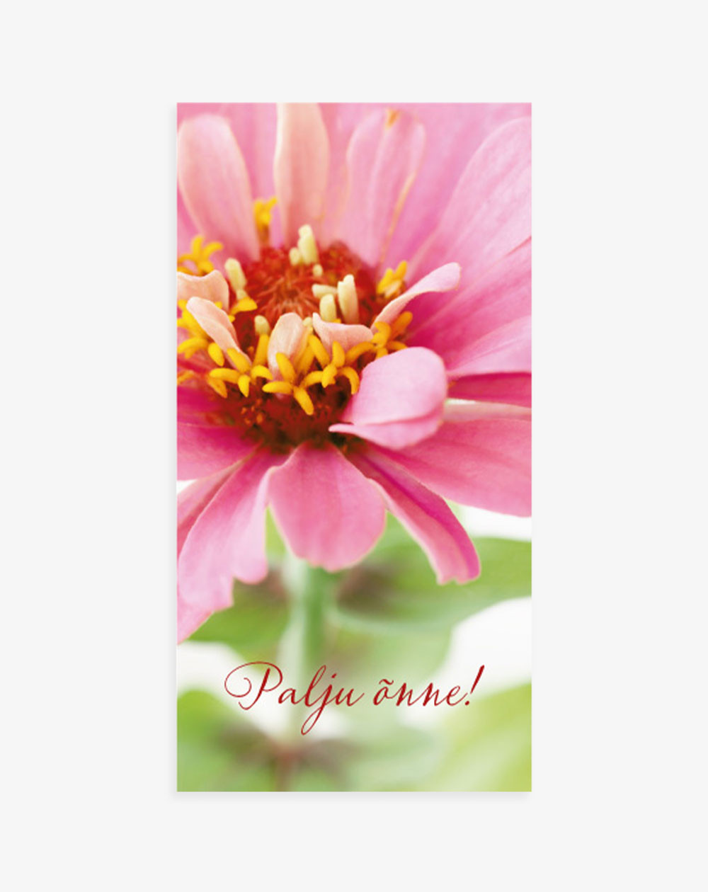 Hallmark Kaart taskuga Roosa lill