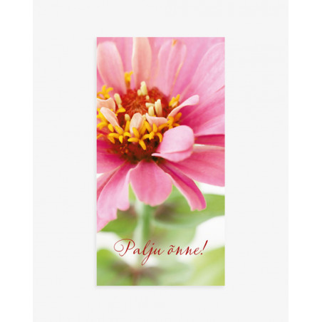 Hallmark Kaart taskuga Roosa lill
