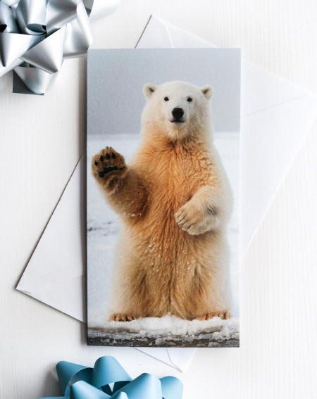 Pocket Card Polar bear