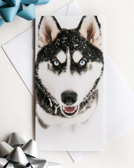 Pocket Card Husky